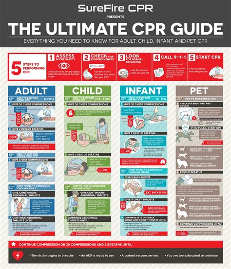 csphr review|CPR & First Aid .